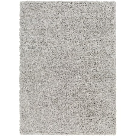 Bogota Shag BTG-2303 Machine Crafted Area Rug